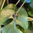 Fly Agaric Mushroom Necklace