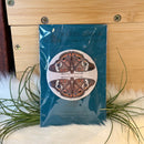 Common Buckeye Butterfly Pocket Mirror