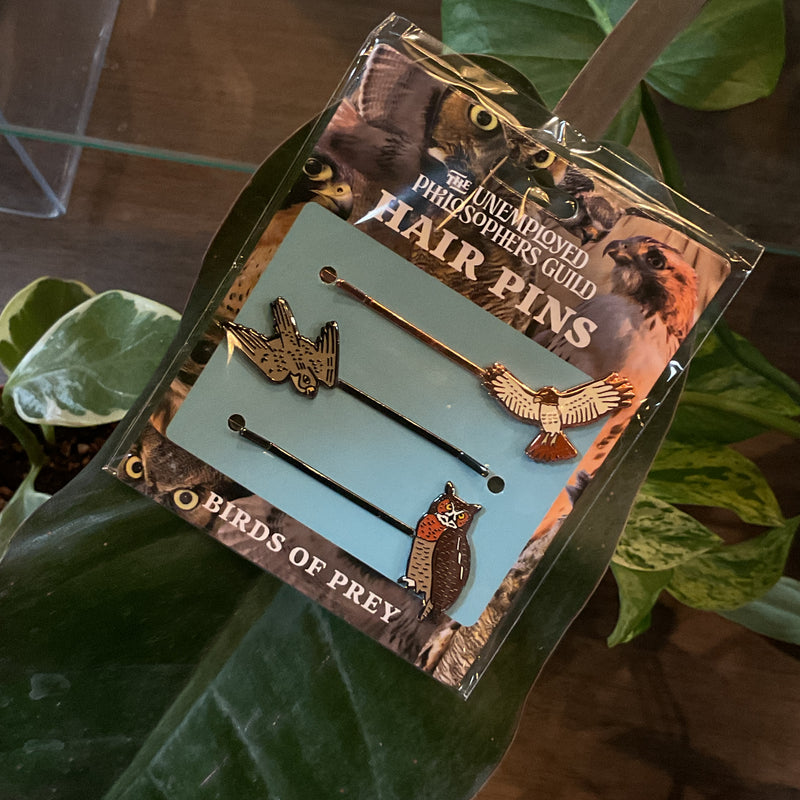 Birds of Prey Hair Pins