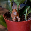 Big Foot Finger Puppet