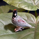 Mini Ceramic Quail Figurine