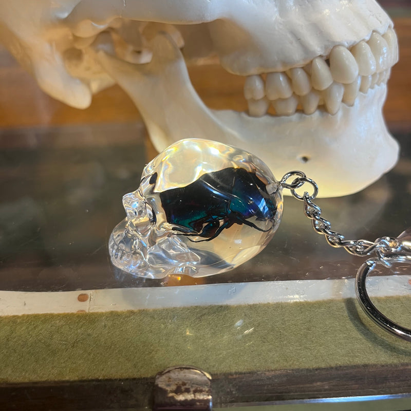 Chafer Beetle Skull Keychain