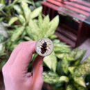 Black Bug Pen