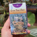 Grow Your Own Cactus