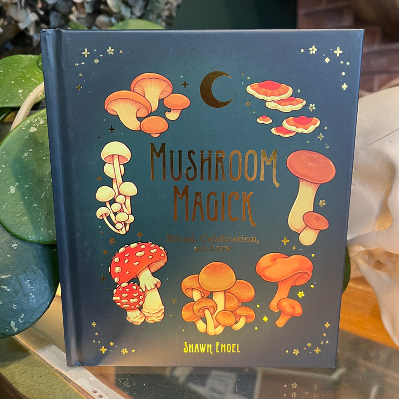 Mushroom Magick: Ritual, Celebration and Lore by Shawn Engel