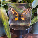 Tigroid Cicada Paperweight
