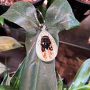 Cicada Keychain