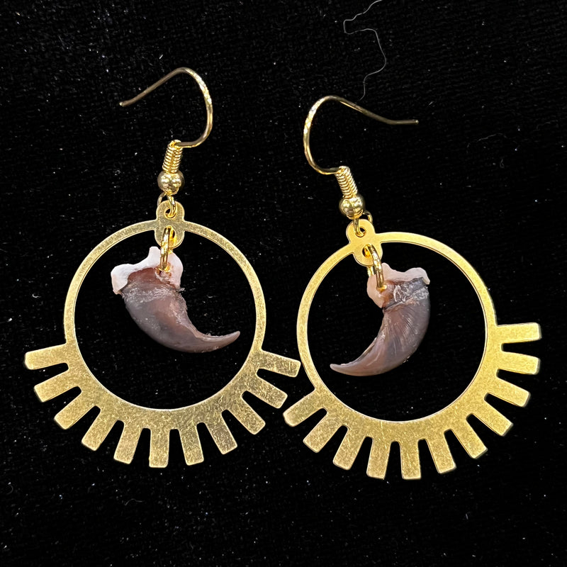 Raccoon Claw Hoop Earrings