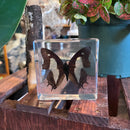 Common Nawab Butterfly Paperweight