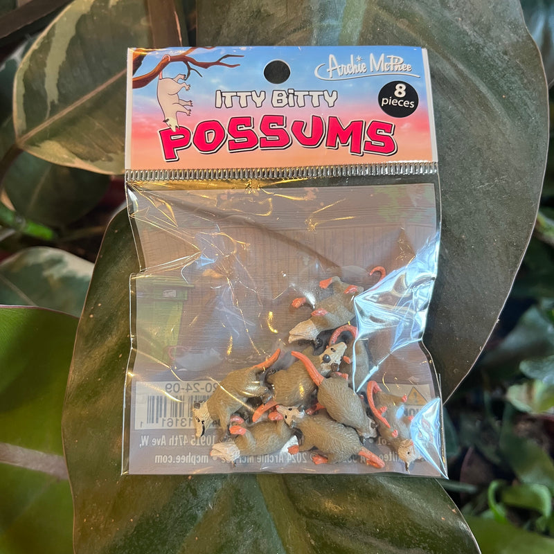 Itty Bitty Possums