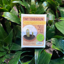 Tiny Terrarium
