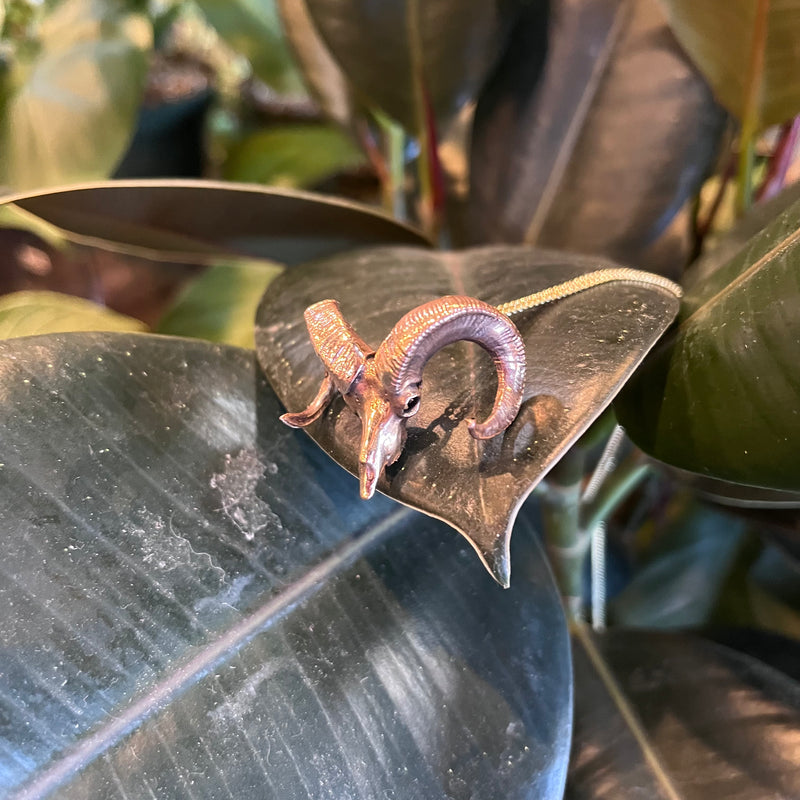 Bighorn Sheep Skull Necklace