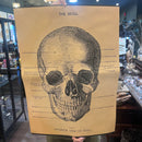 Vintage Poster Print