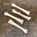Chicken Leg Bone