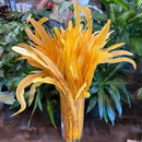 Rooster Feather