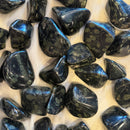 Tumbled Kambaba Crocodile Jasper