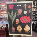 Vintage Poster Print