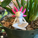 Meditating Axolotl