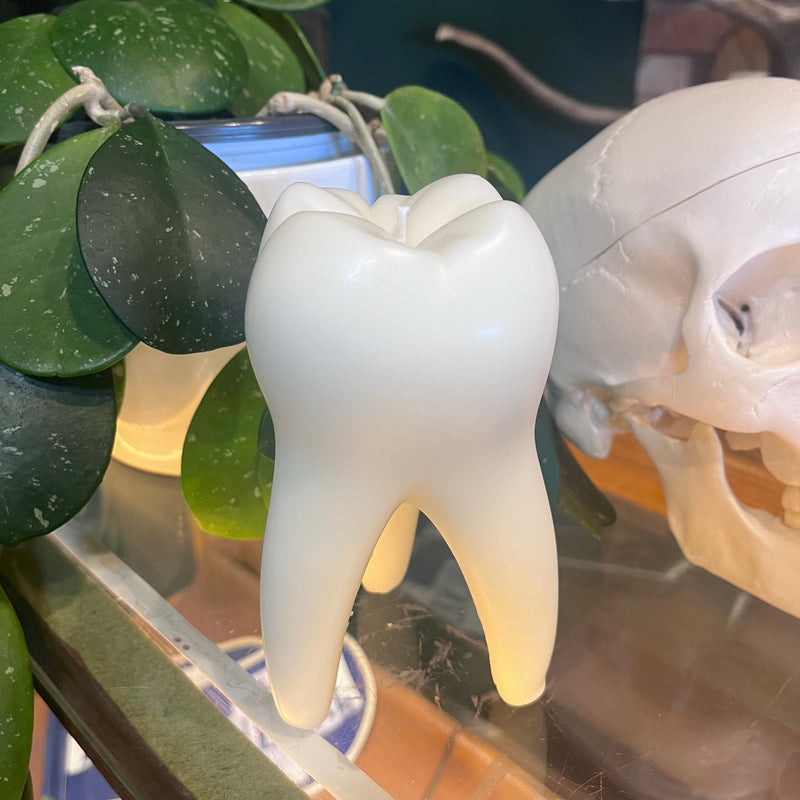 Tooth Candle