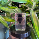 Medium Cicada Paperweight