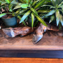 Elk Leg