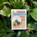 Tiny Terrarium