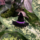 Witch Hat Hair Claw Clip