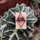 Mini Vintage Eye Matchbox