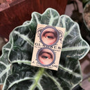 Mini Vintage Eye Matchbox