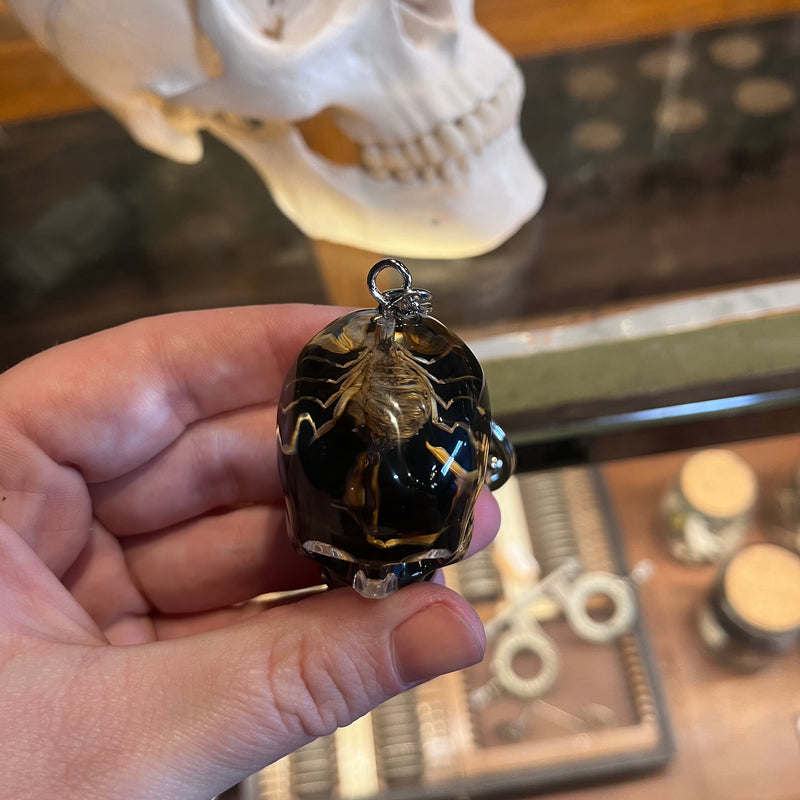 Golden Scorpion Skull Keychain