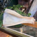 Water Buffalo Scapula