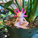 Meditating Axolotl