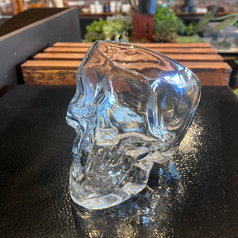 Glass Skull Pot