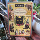 Cats Vintage Postcards