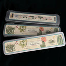 Cacti & Succulents Pencil Set