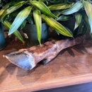Elk Leg