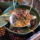 Brass Turtle Incense Burner