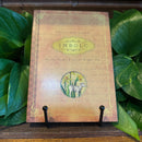 Imbolc: Rituals, Recipes, & Lore Fore Brigid's Day