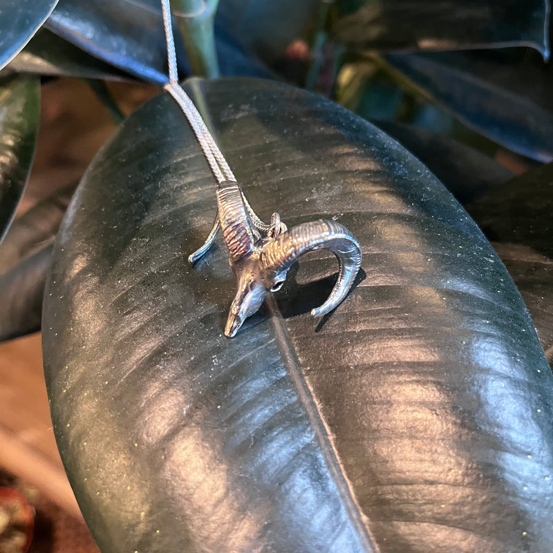 Bighorn Sheep Skull Necklace