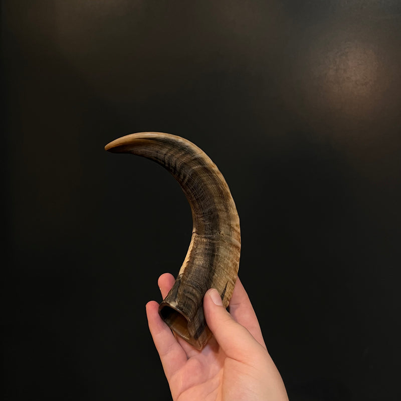 Ram Horn