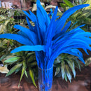 Rooster Feather