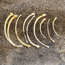 Snake Rib Bone