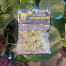 Itty Bitty Glow Cats