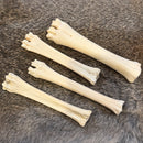 Sheep Leg Bone