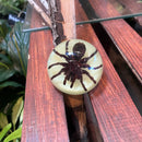 Glow in the Dark Tarantula Dome