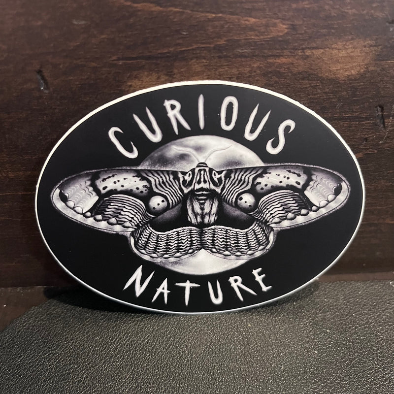Curious Nature Moth Sticker