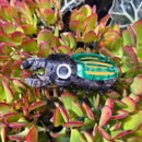 Insect Hair Claw Clip