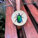 Glow in the Dark Chafer Beetle Dome Paperweight