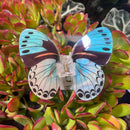 Butterfly Hair Claw Clip