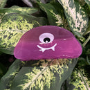 Cyclops Hair Claw Clip